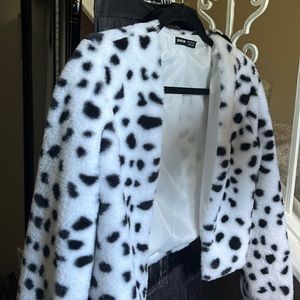Dalmatian Jacket